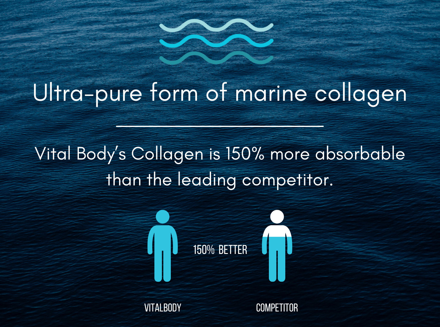 CTR (Connective Tissue Repair) - HYDROLYZED MARINE COLLAGEN PEPTIDES WITH WHOLE FOOD VITAMIN C - 30 Servings