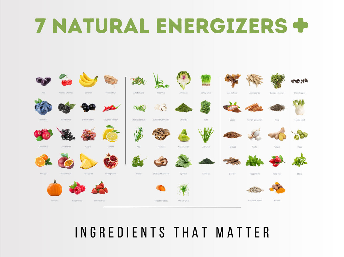 VFV+E (Vital Fruits & Vegetables + Energy) - SUPERCHARGED PLANT-BASED ENERGY & SUPERFOOD POWDER-15 Servings